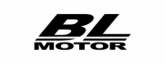 BL motor